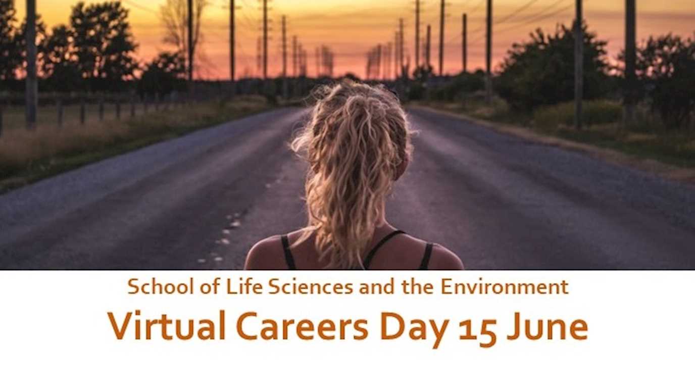 LSE Virtual Career Event (1)