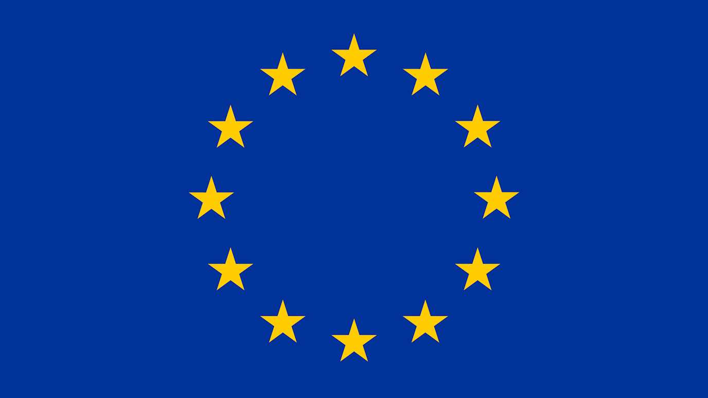 European flag.jpg (1)