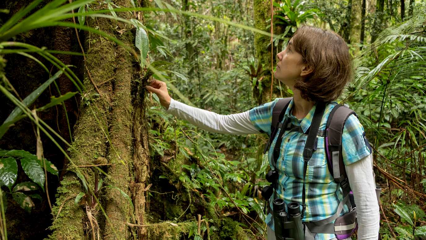 NERCBRAZIL16.jpg