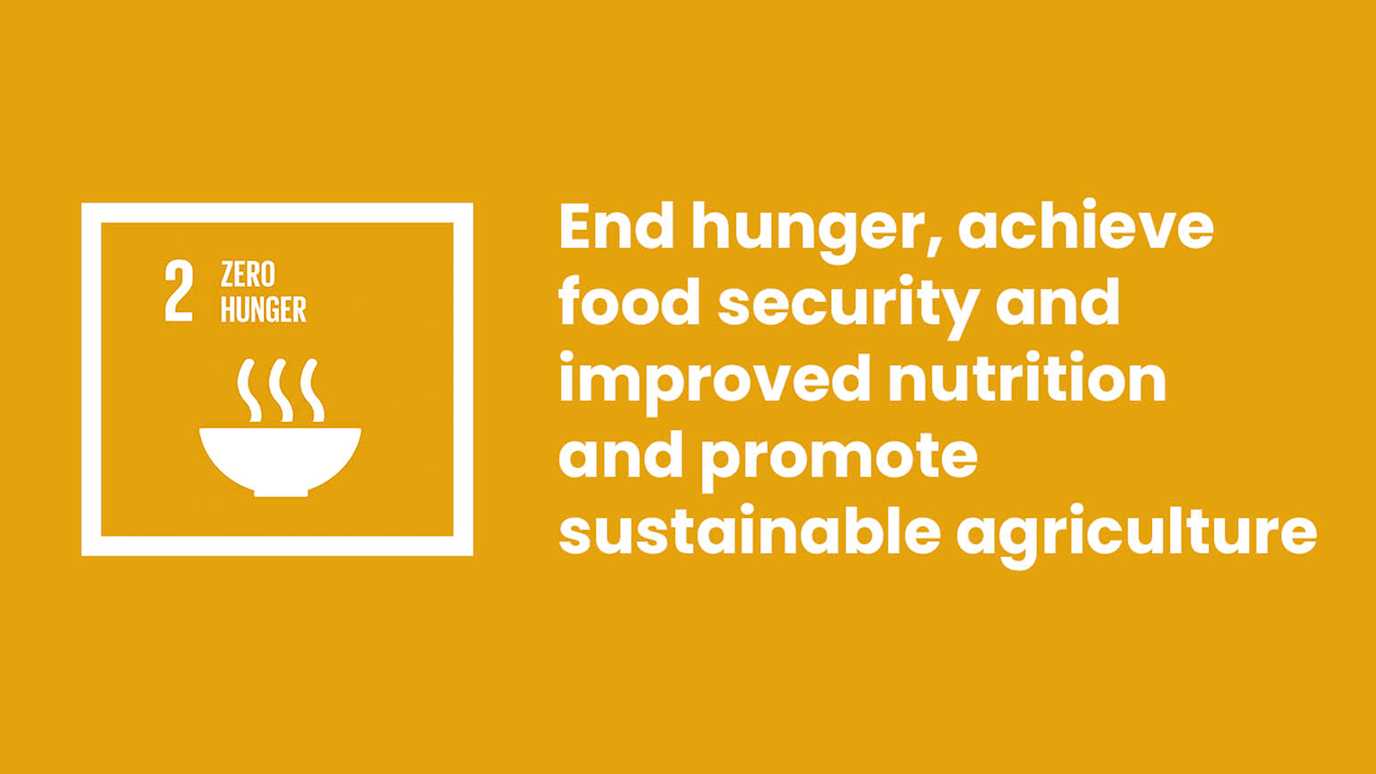 SDG 2.jpg