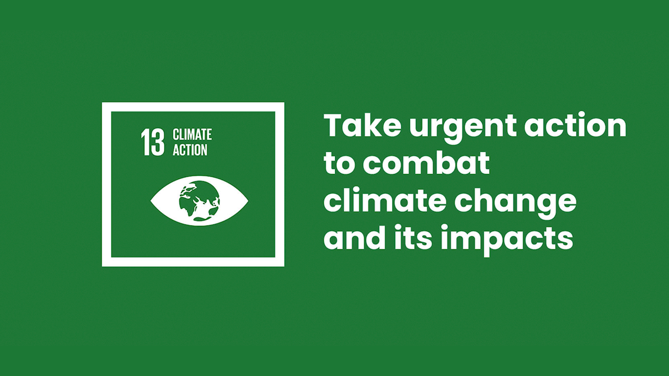 SDG 13 logo for website.png