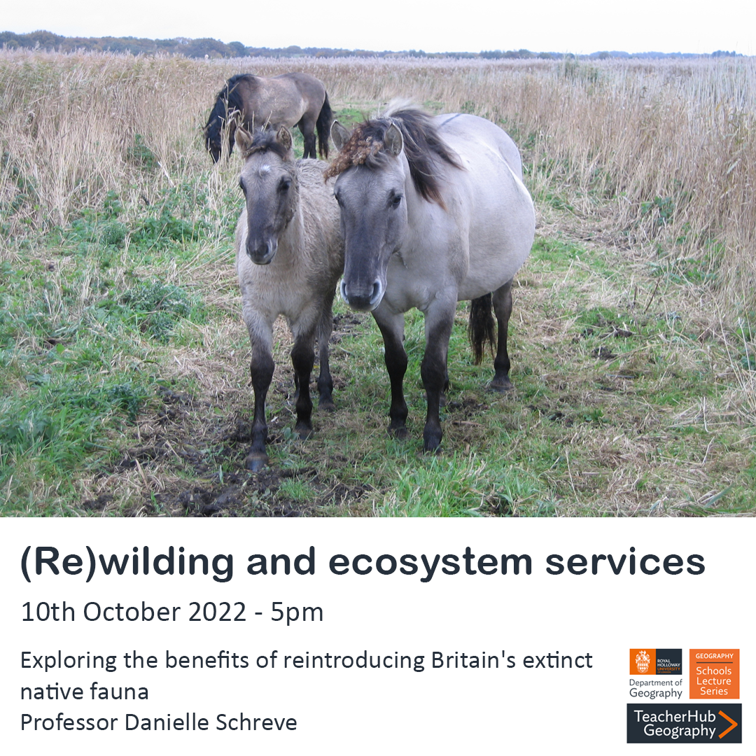 : (Re)wilding and ecosystem services