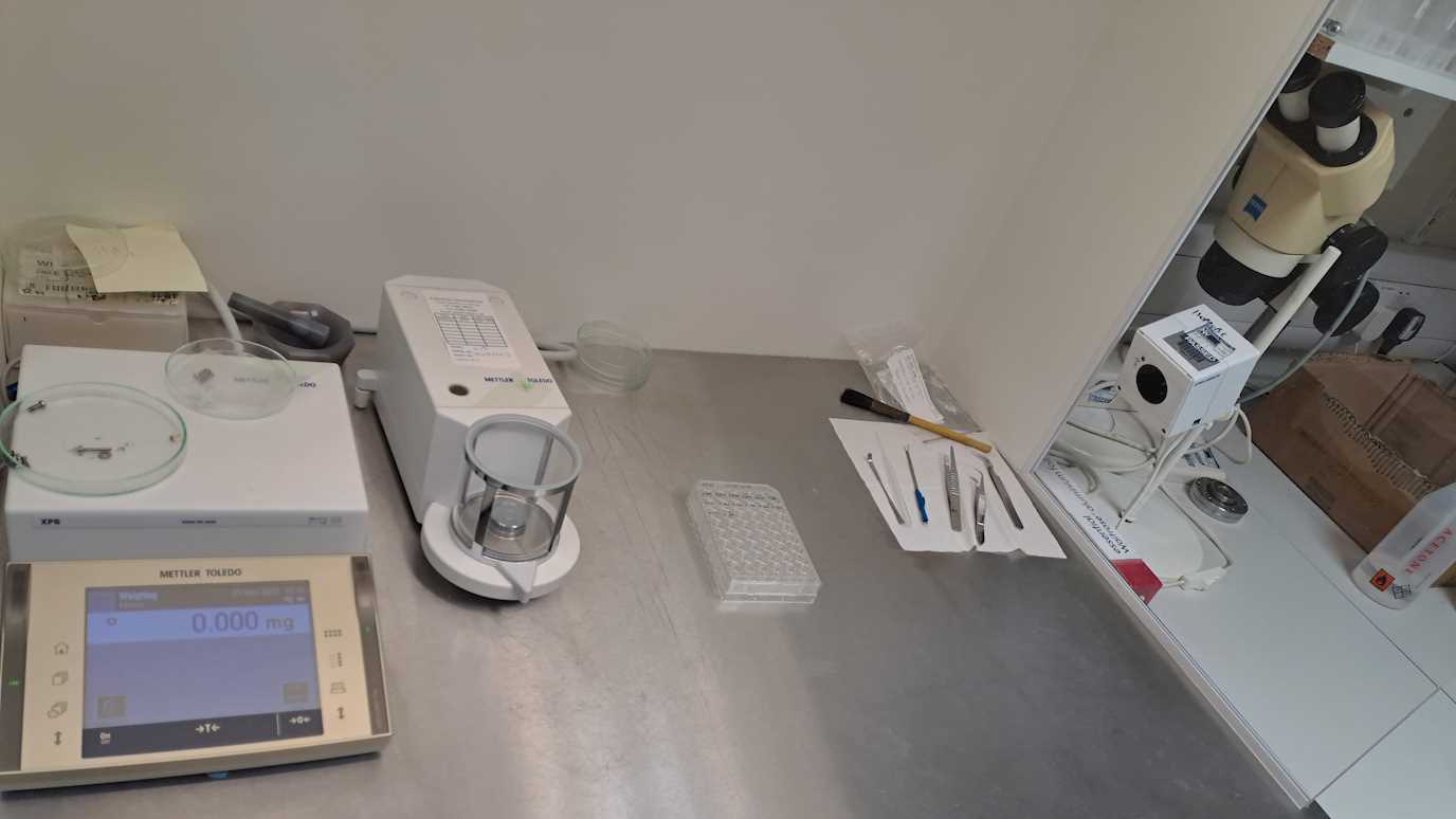 ES Lab 3
