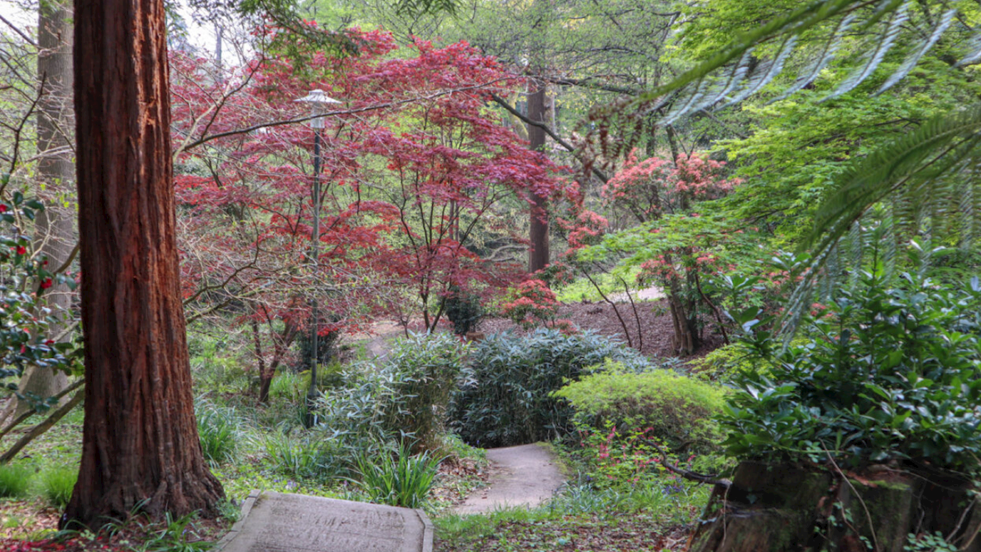 Flowers Of Egham Campus