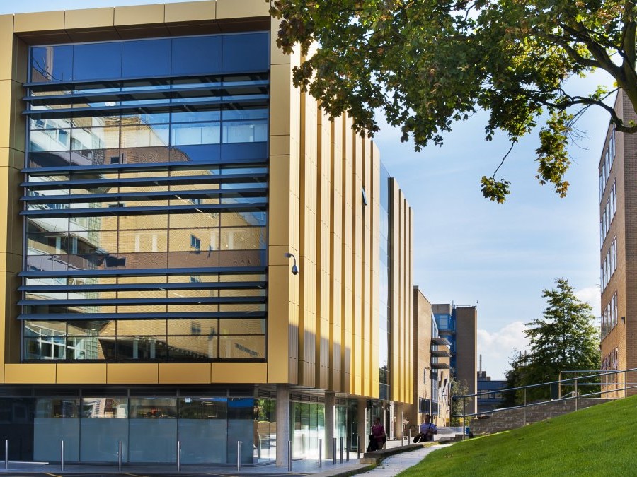 University of Surrey
