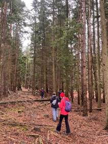 Walking society