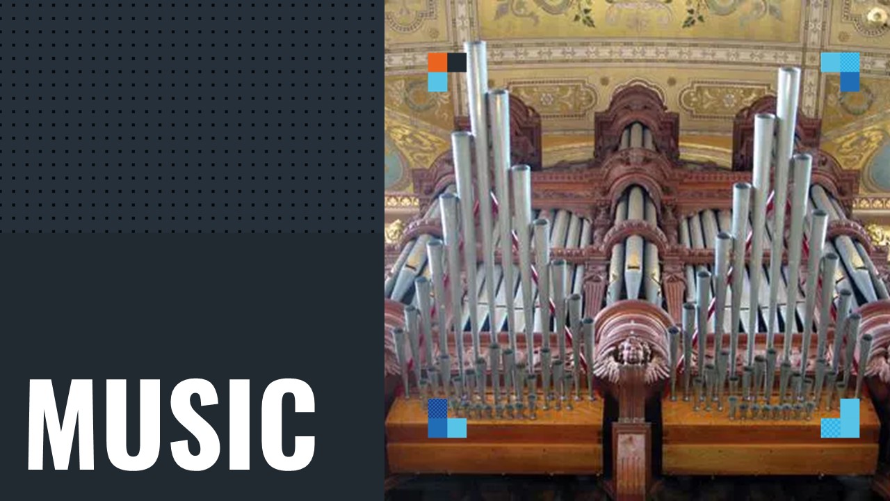 Organ